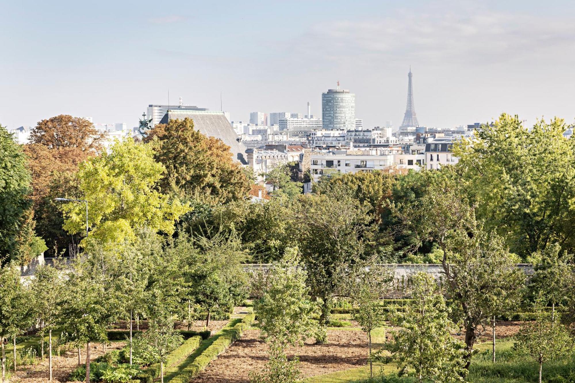 Domaine De La Reine Margot Paris-Issy - Mgallery Collection Issy-les-Moulineaux Exteriör bild